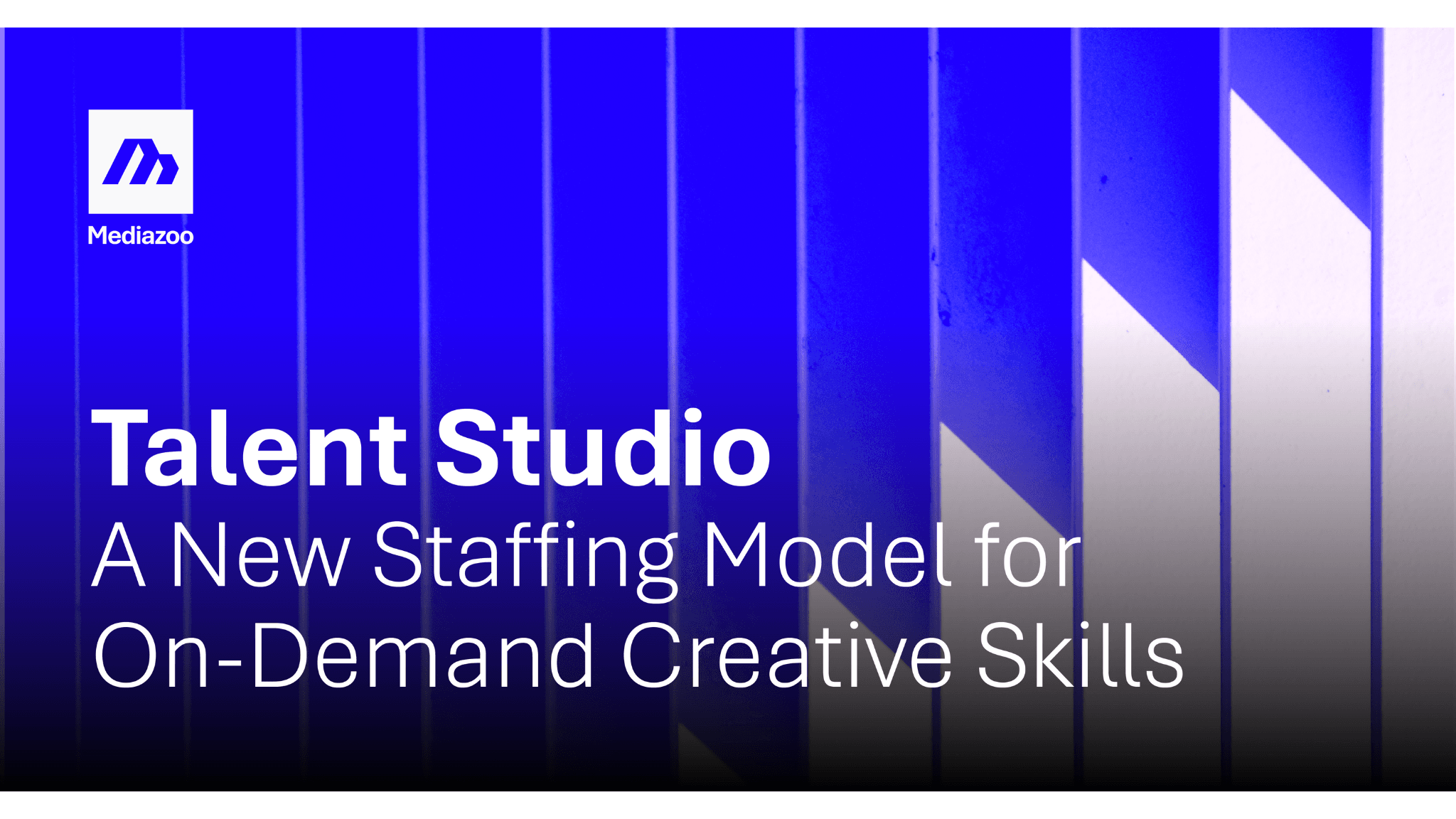 Talent Studio Program Mediazoo Unveils Talent Studio
